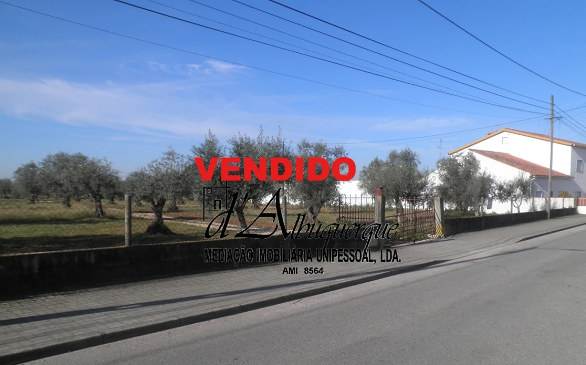 Quinta para Venda em Ponte de Sor, Tramaga e Vale de Açor Foto 1