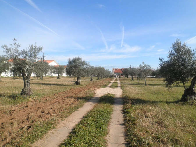 Quinta para Venda em Ponte de Sor, Tramaga e Vale de Açor Foto 6