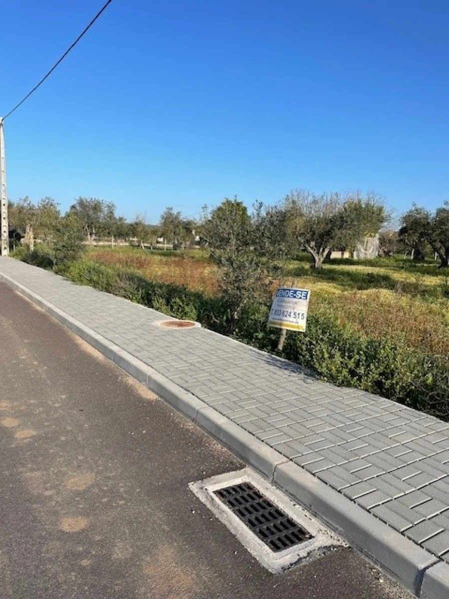 Quinta para Venda em Ponte de Sor, Tramaga e Vale de Açor Foto 18