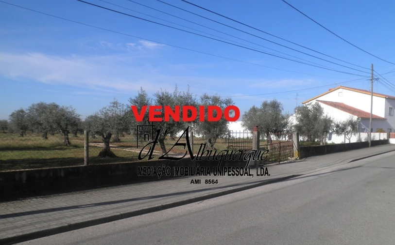 Quinta para Venda em Ponte de Sor, Tramaga e Vale de Açor Foto 1