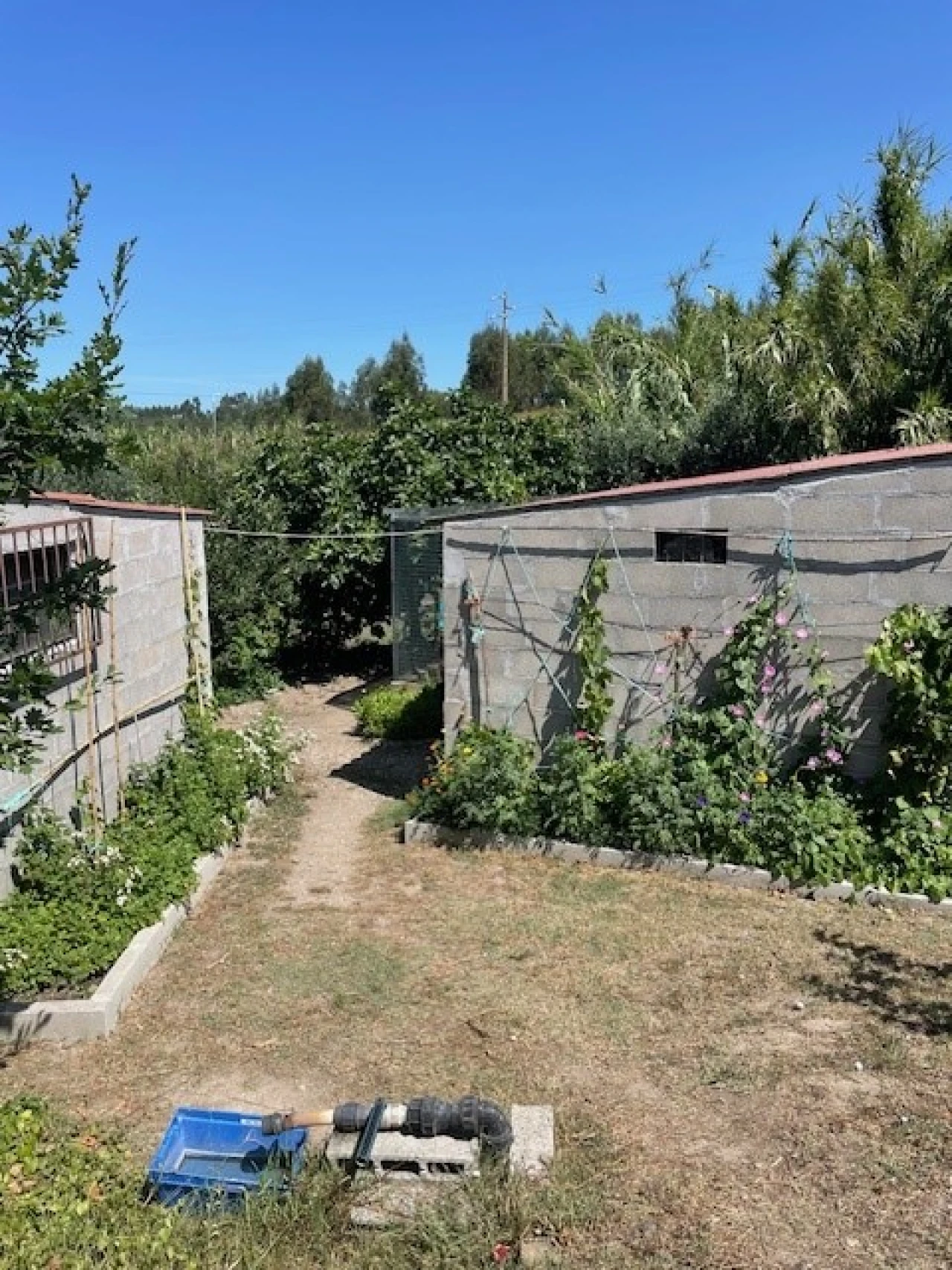 Quinta T4 para Venda em Monte da Pedra Foto 25