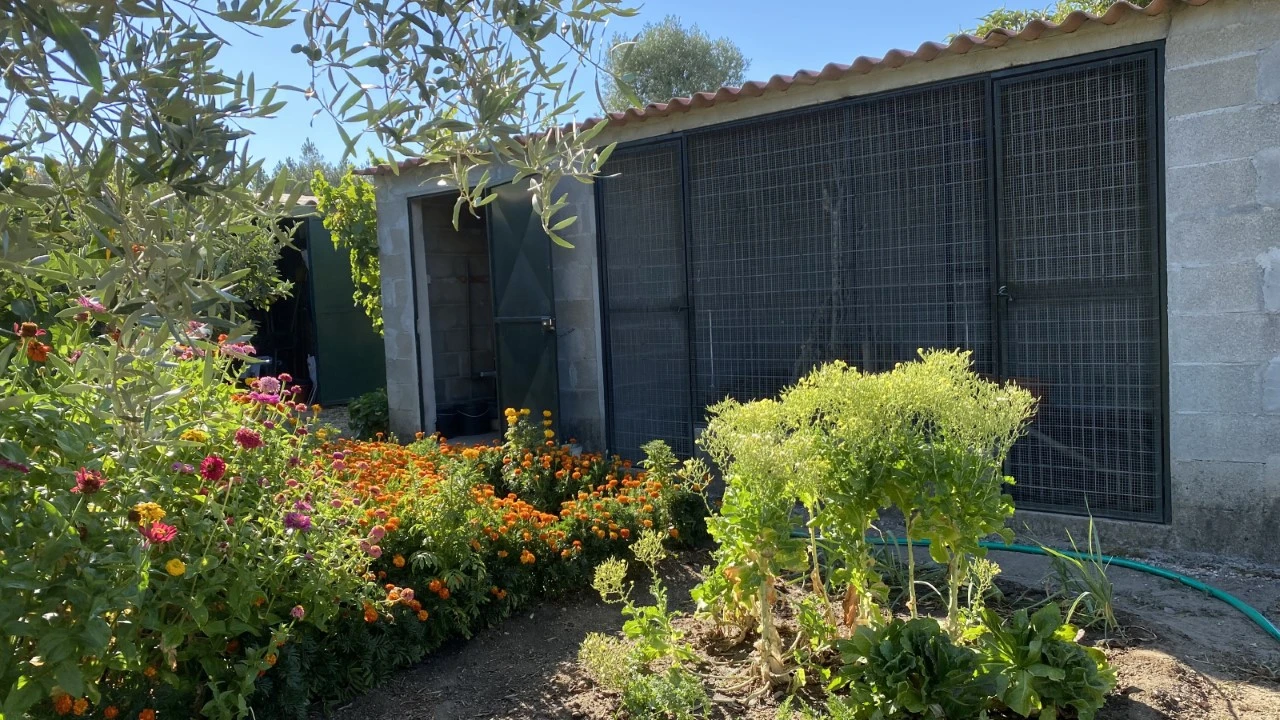 Quinta T4 para Venda em Monte da Pedra Foto 28