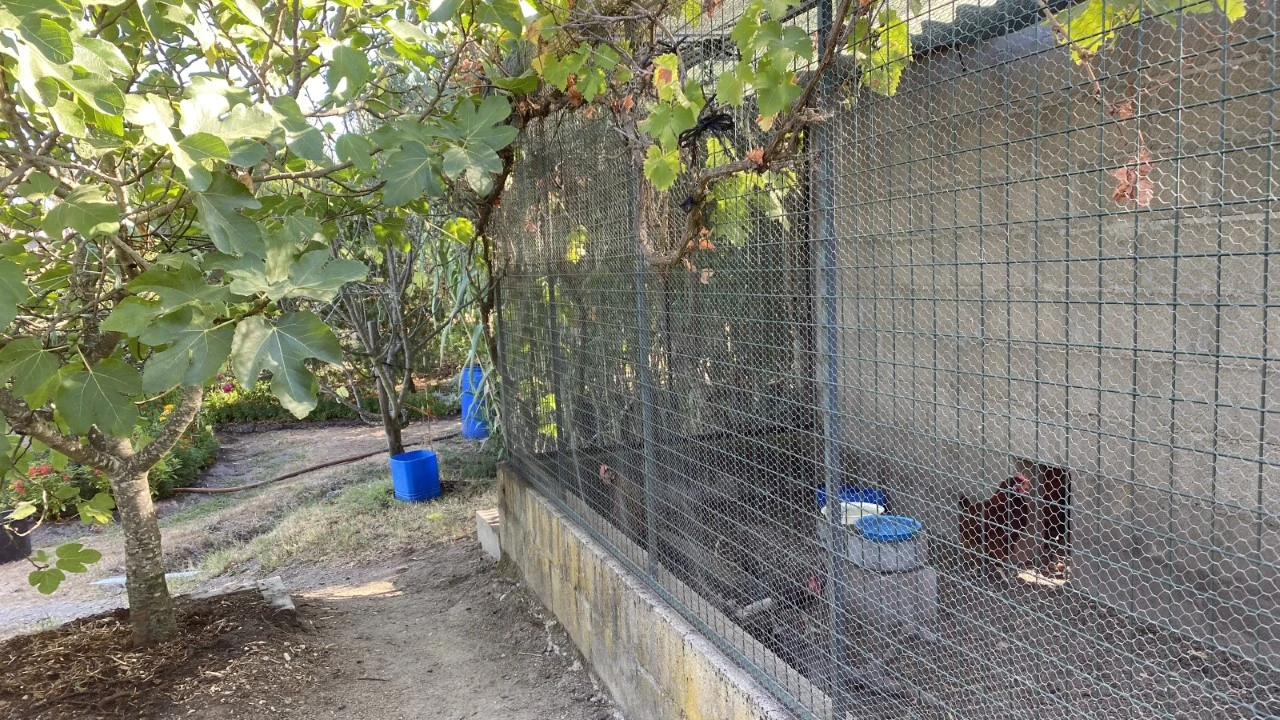 Quinta T4 para Venda em Monte da Pedra Foto 29