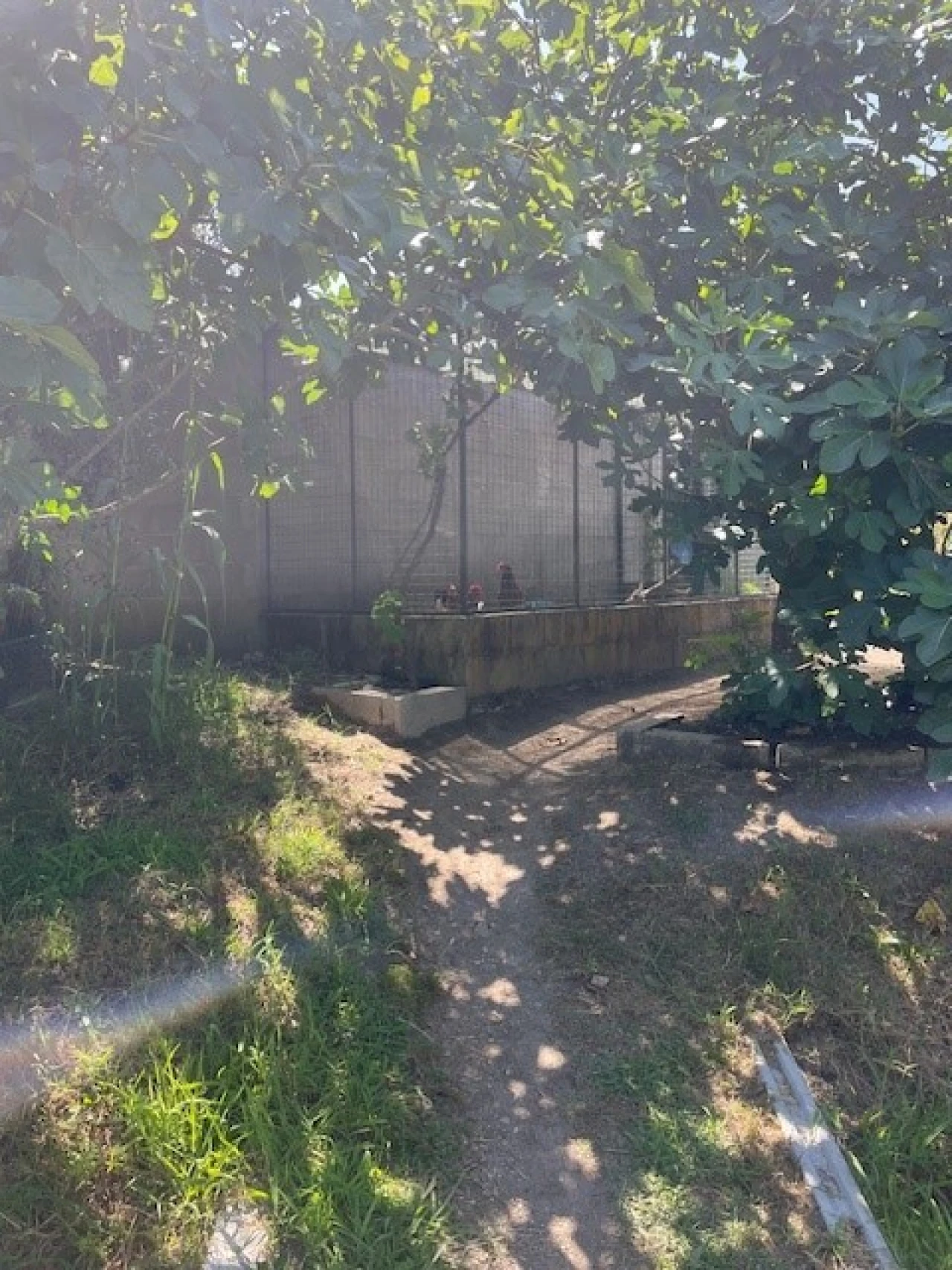 Quinta T4 para Venda em Monte da Pedra Foto 30