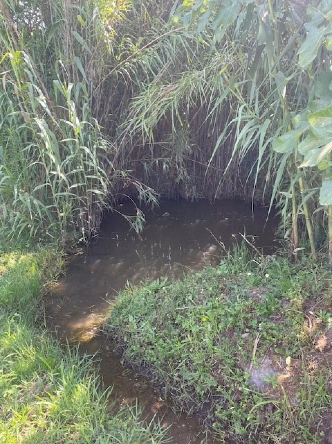 Quinta T4 para Venda em Monte da Pedra Foto 31