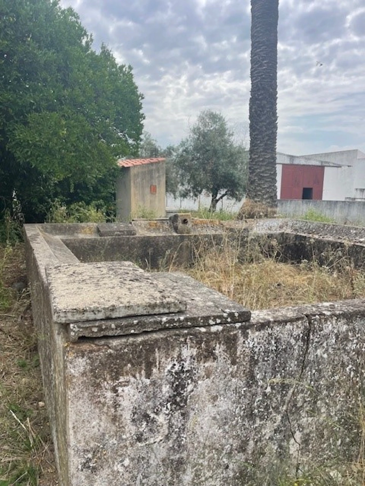 Quinta T2 para Venda em Ponte de Sor, Tramaga e Vale de Açor Foto 17