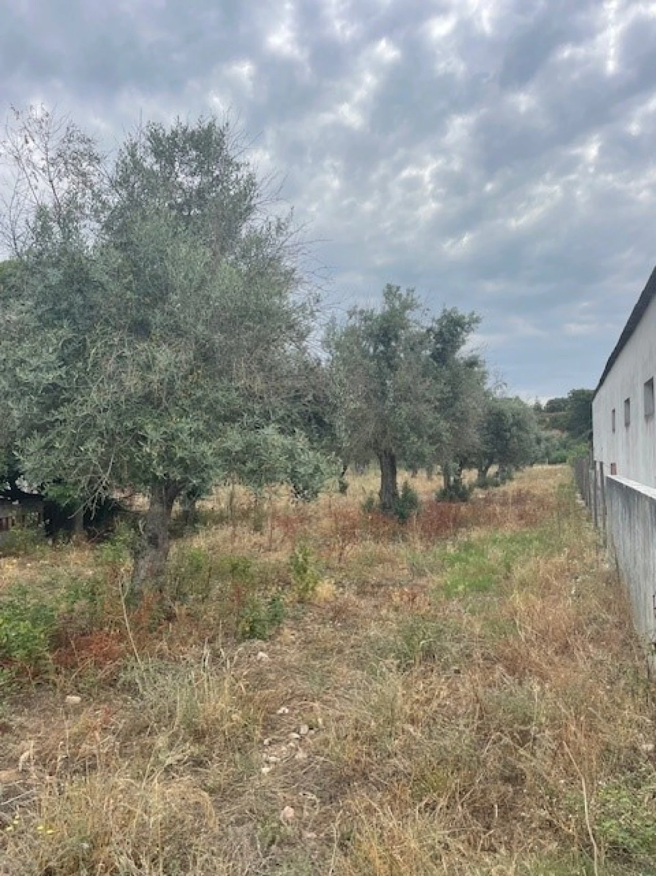 Quinta T2 para Venda em Ponte de Sor, Tramaga e Vale de Açor Foto 19