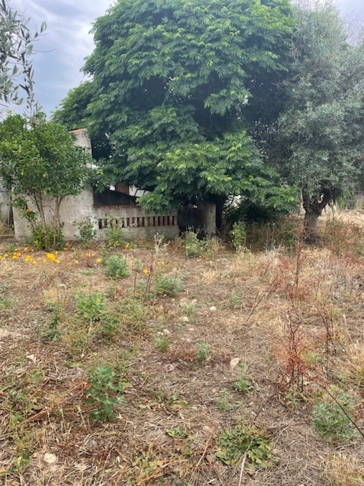 Quinta T2 para Venda em Ponte de Sor, Tramaga e Vale de Açor Foto 22