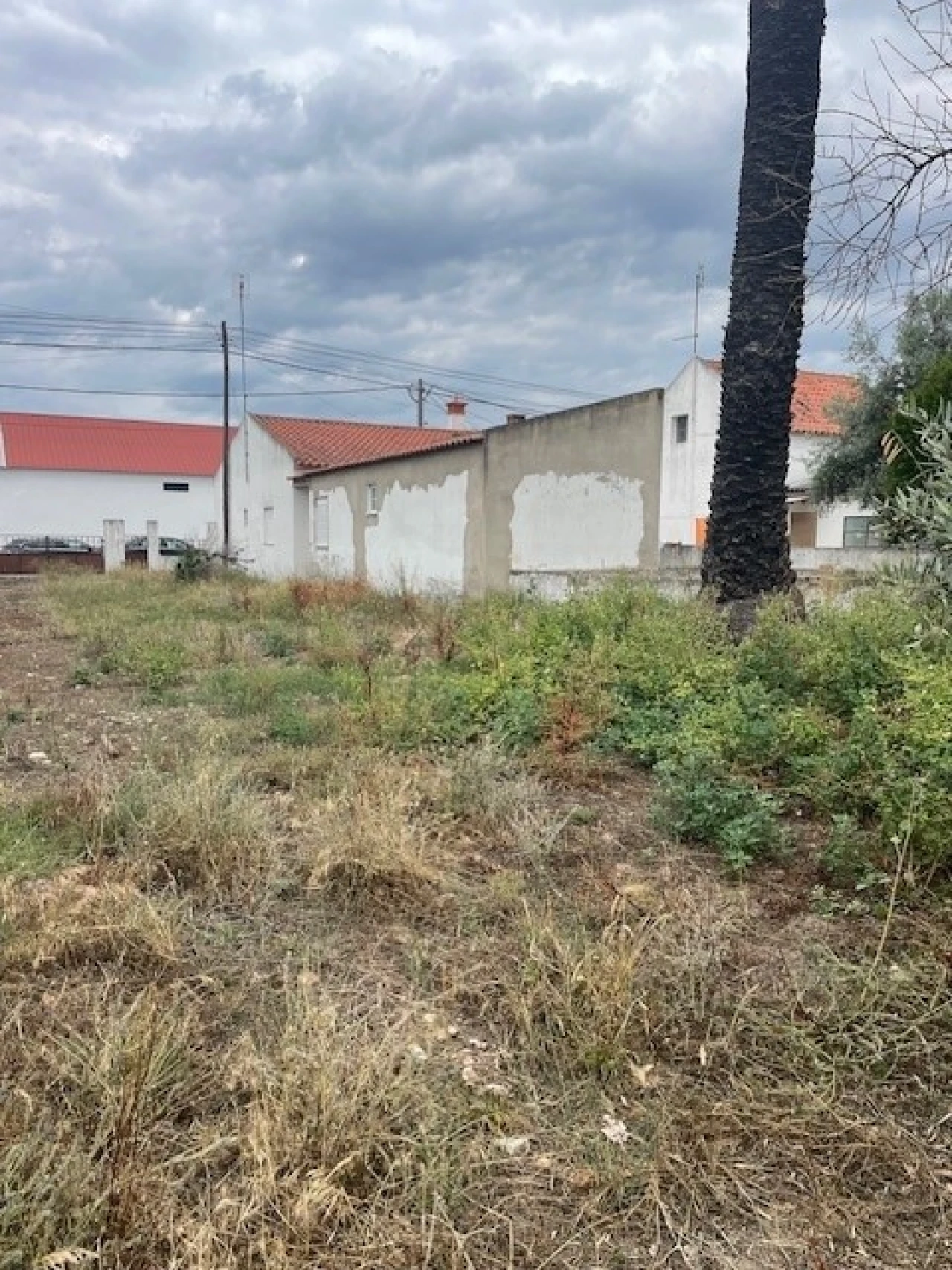 Quinta T2 para Venda em Ponte de Sor, Tramaga e Vale de Açor Foto 23
