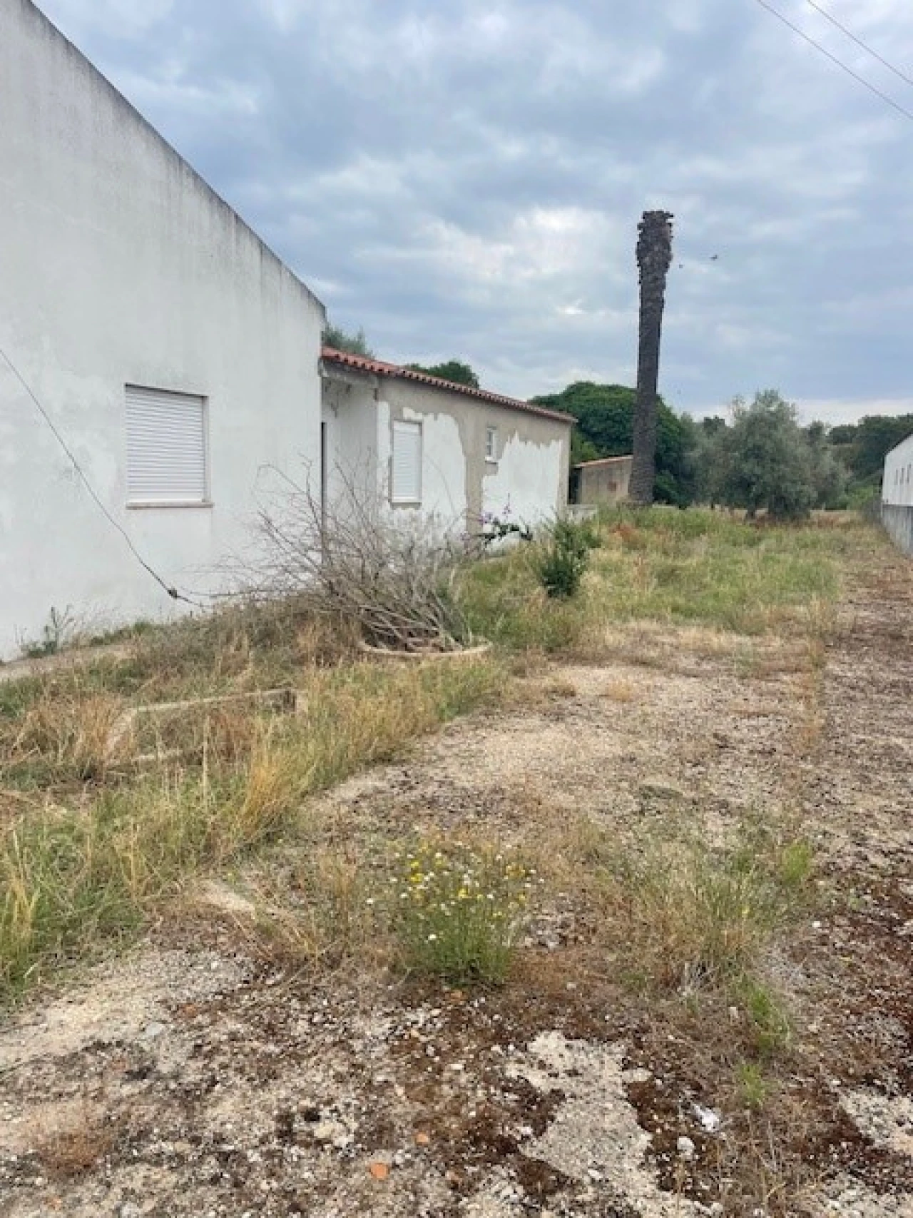 Quinta T2 para Venda em Ponte de Sor, Tramaga e Vale de Açor Foto 24
