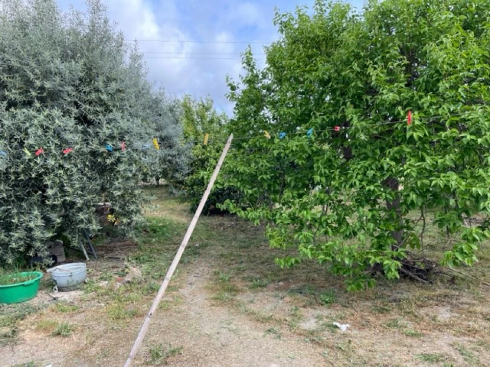 Quinta T1 para Venda em Ponte de Sor, Tramaga e Vale de Açor Foto 7