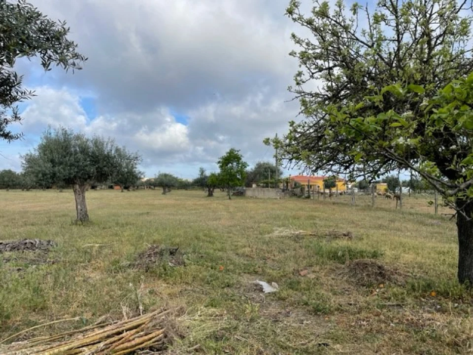 Quinta T1 para Venda em Ponte de Sor, Tramaga e Vale de Açor Foto 10