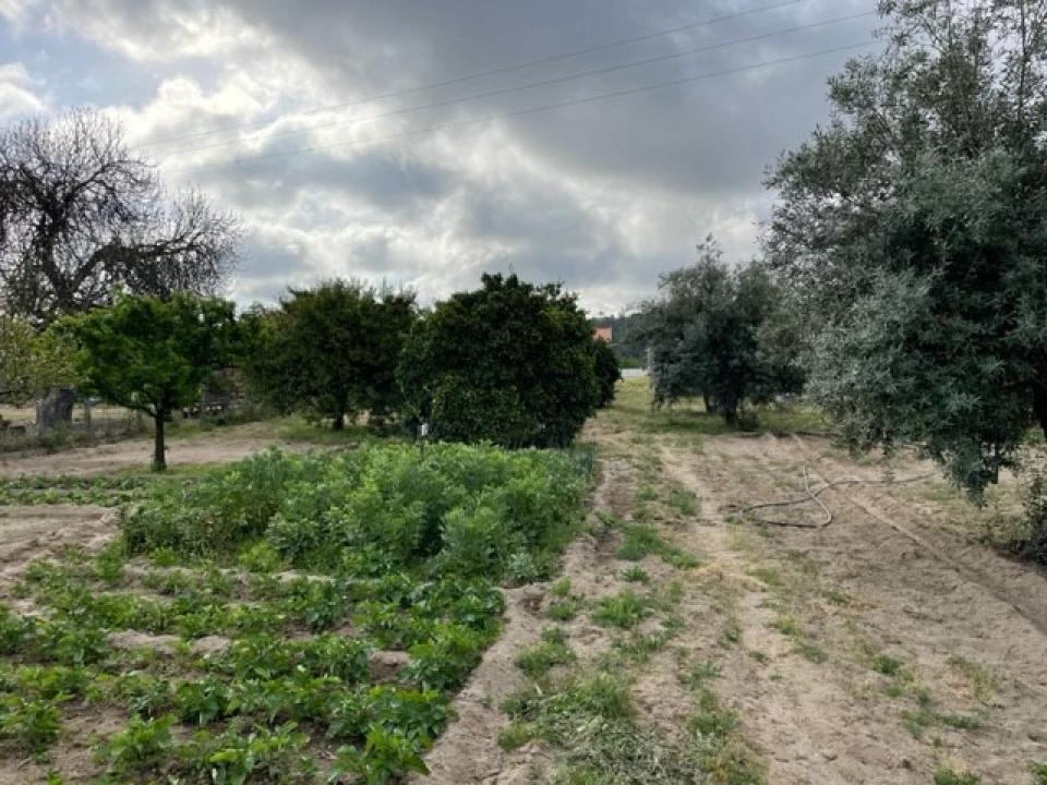 Quinta T1 para Venda em Ponte de Sor, Tramaga e Vale de Açor Foto 12