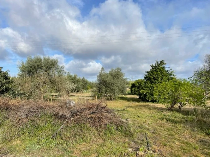 Quinta T1 para Venda em Ponte de Sor, Tramaga e Vale de Açor Foto 6