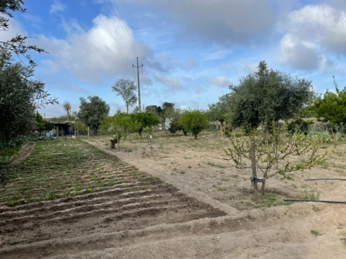 Quinta T1 para Venda em Ponte de Sor, Tramaga e Vale de Açor Foto 9