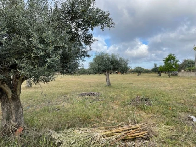 Quinta T1 para Venda em Ponte de Sor, Tramaga e Vale de Açor Foto 11