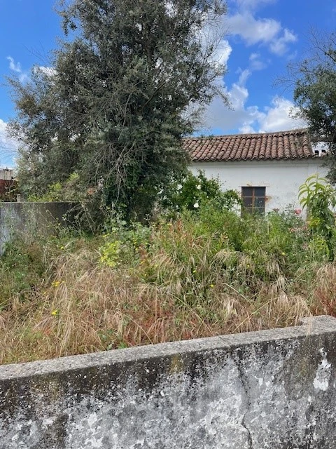 Moradia para Venda em Ponte de Sor, Tramaga e Vale de Açor