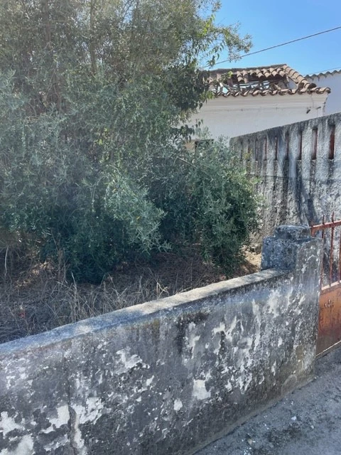Moradia para Venda em Ponte de Sor, Tramaga e Vale de Açor