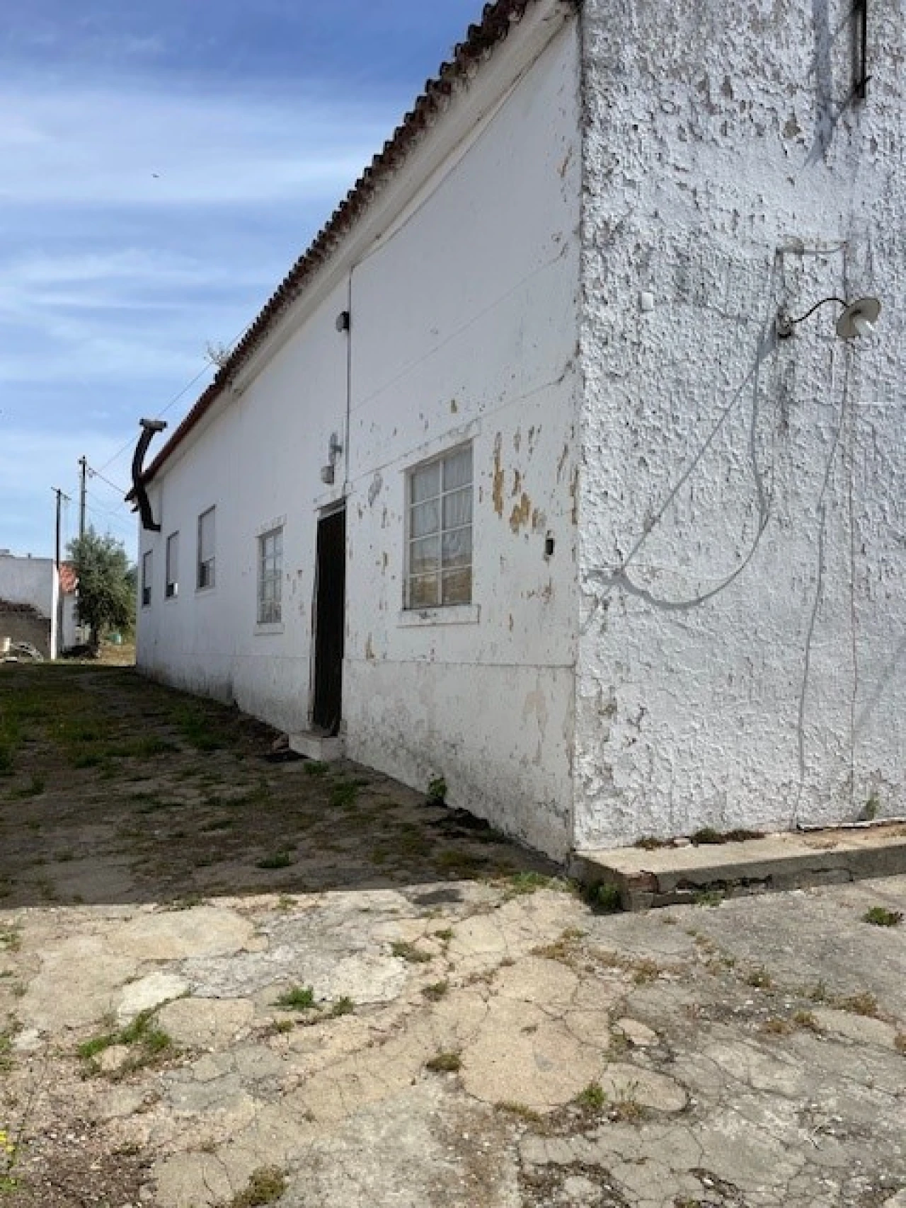 Negócio para Venda em Ponte de Sor, Tramaga e Vale de Açor Foto 7