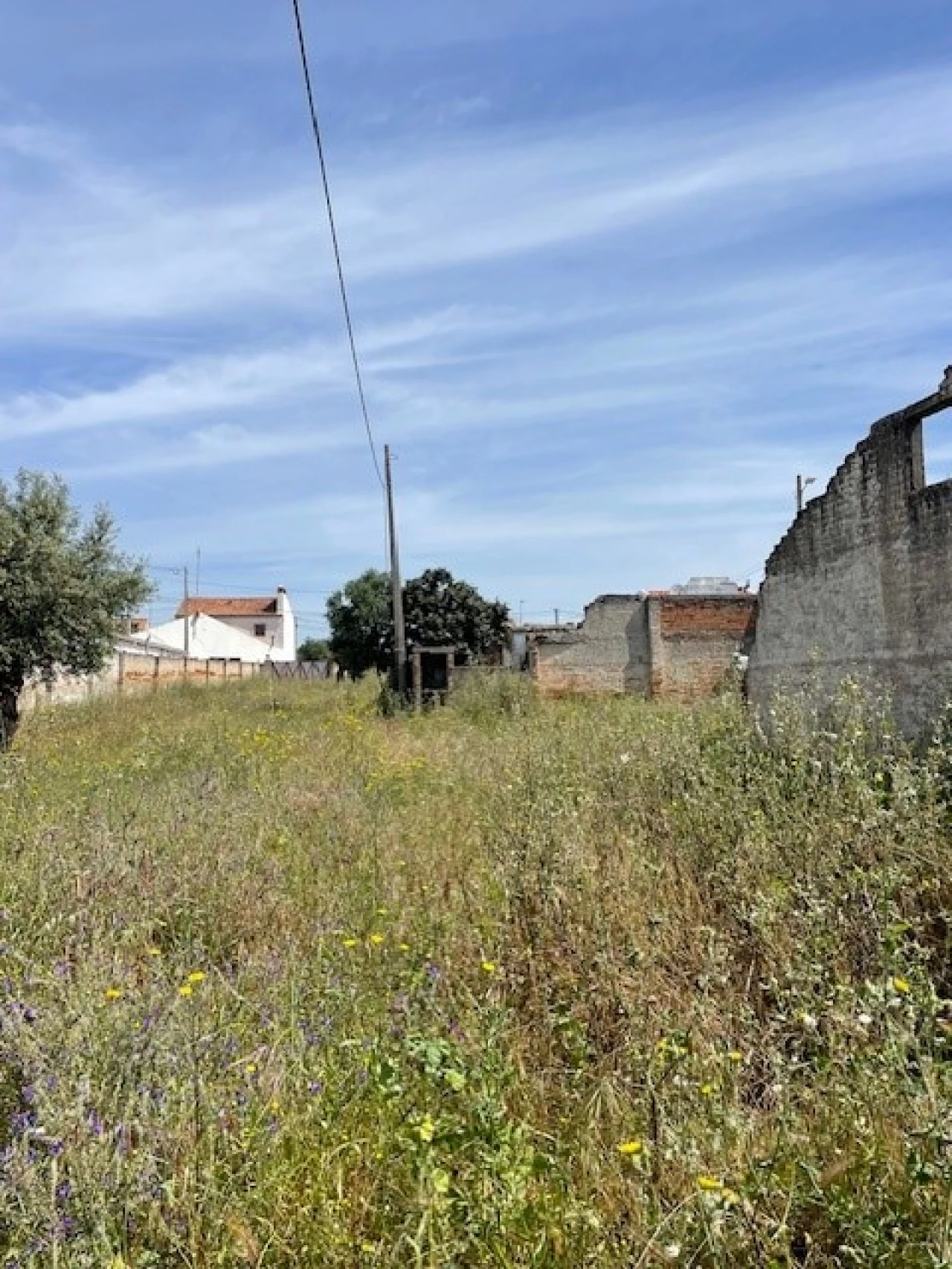 Negócio para Venda em Ponte de Sor, Tramaga e Vale de Açor Foto 13