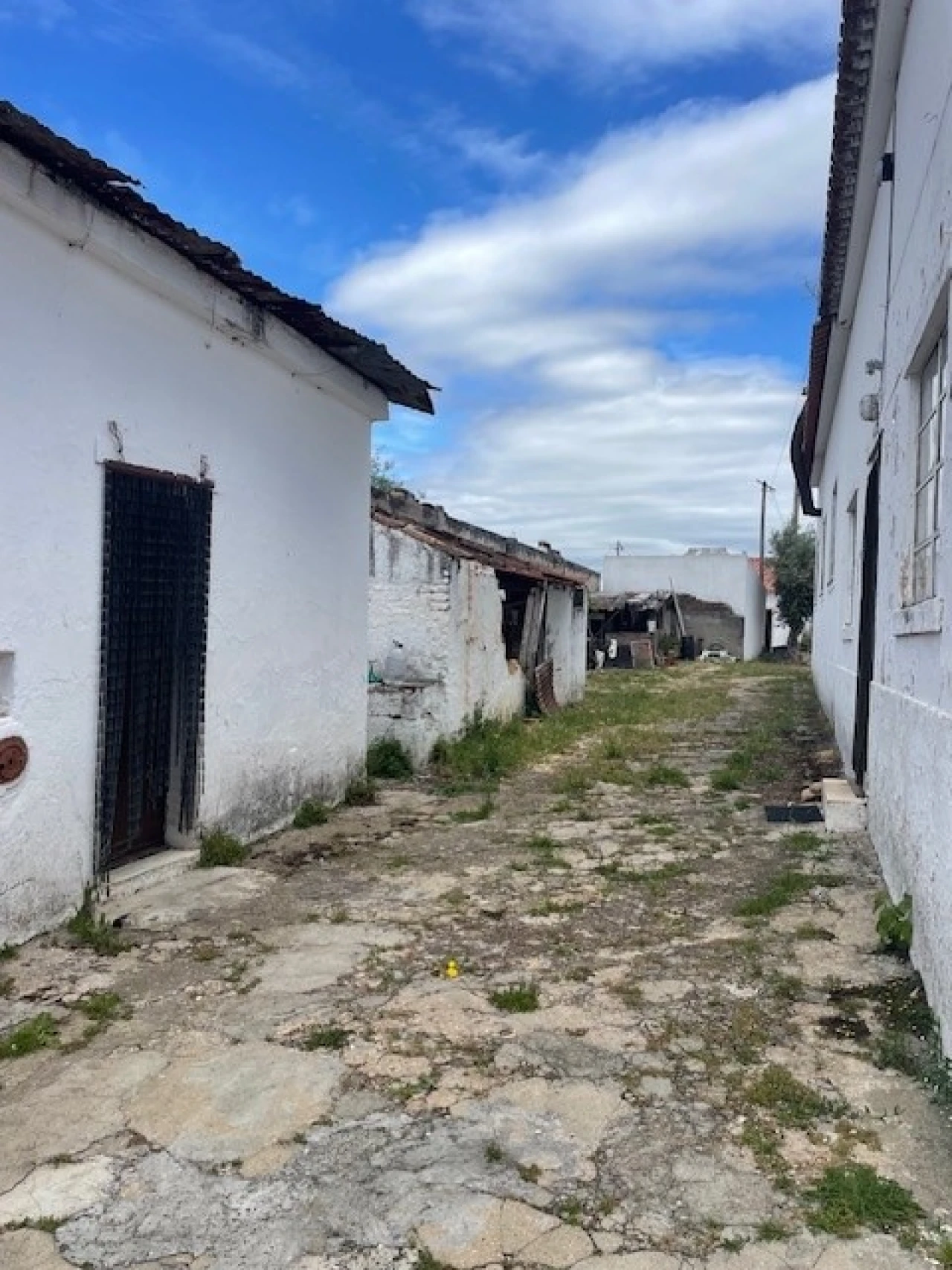Negócio para Venda em Ponte de Sor, Tramaga e Vale de Açor Foto 9
