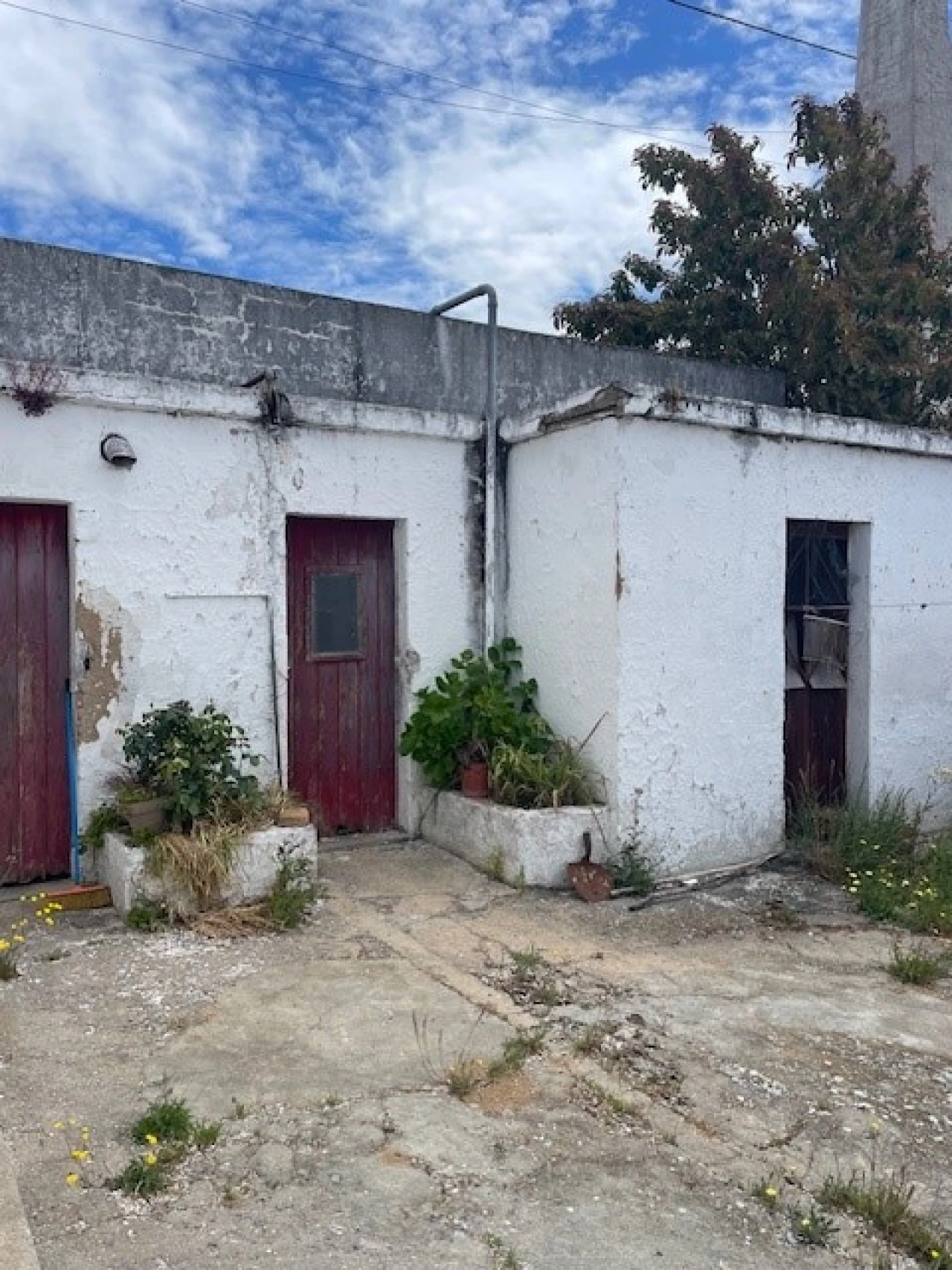 Negócio para Venda em Ponte de Sor, Tramaga e Vale de Açor Foto 10