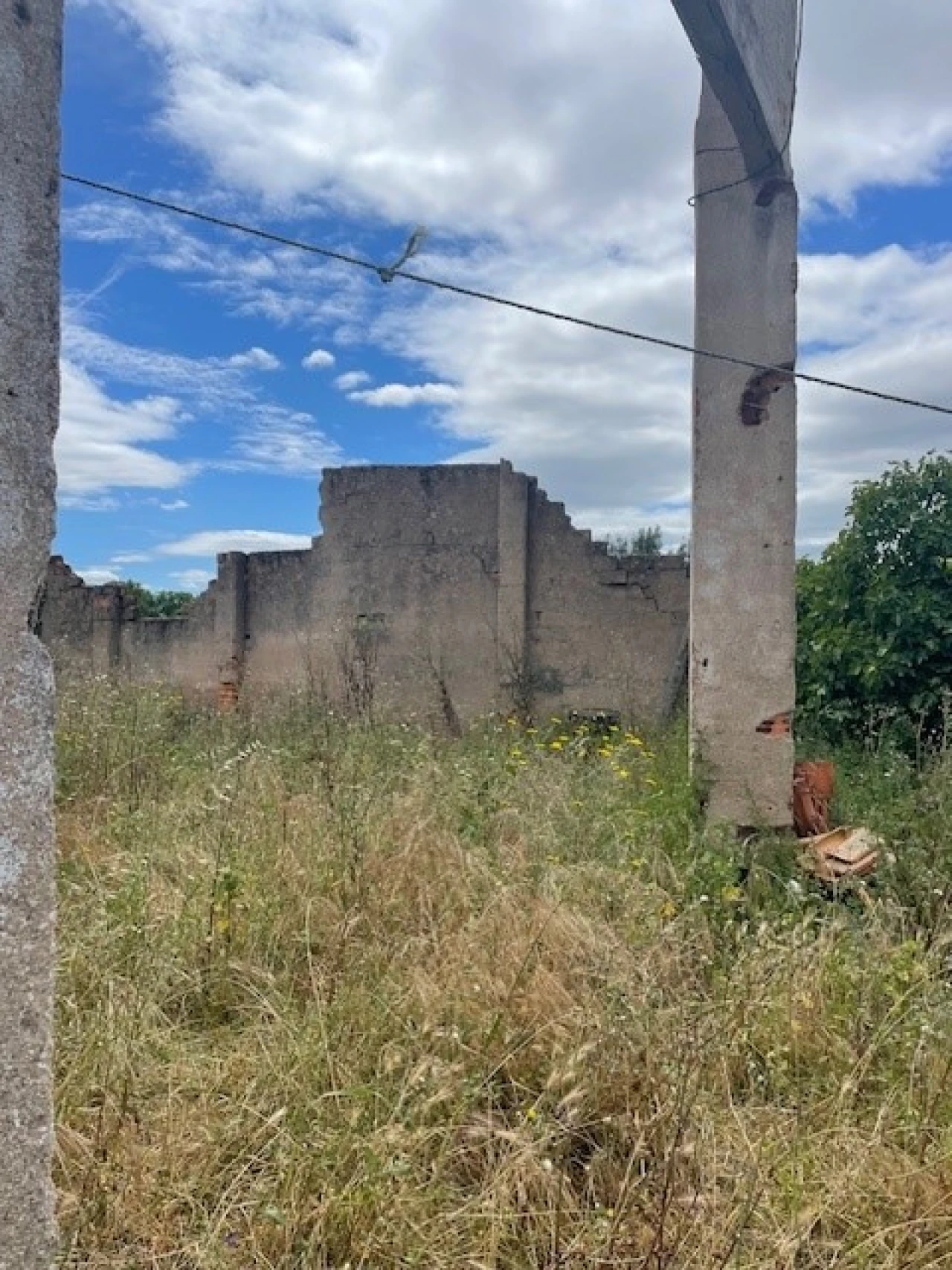 Negócio para Venda em Ponte de Sor, Tramaga e Vale de Açor Foto 12