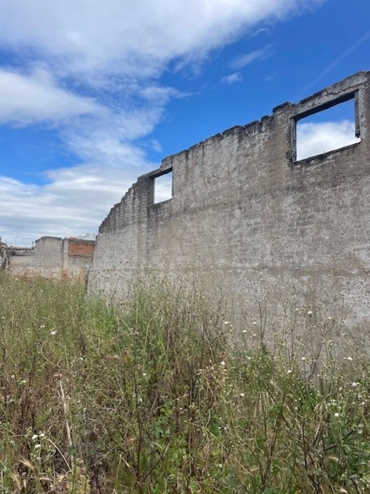 Negócio para Venda em Ponte de Sor, Tramaga e Vale de Açor Foto 16