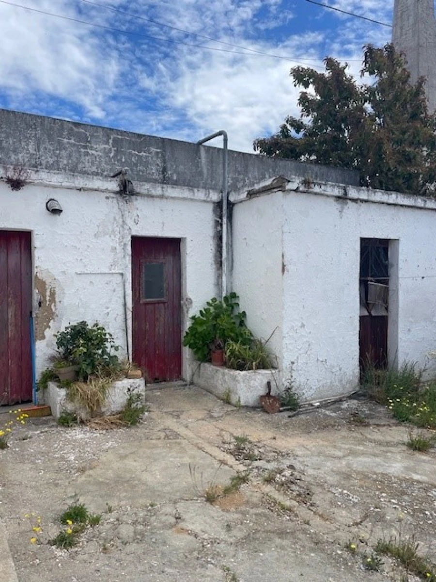 Negócio para Venda em Ponte de Sor, Tramaga e Vale de Açor Foto 10