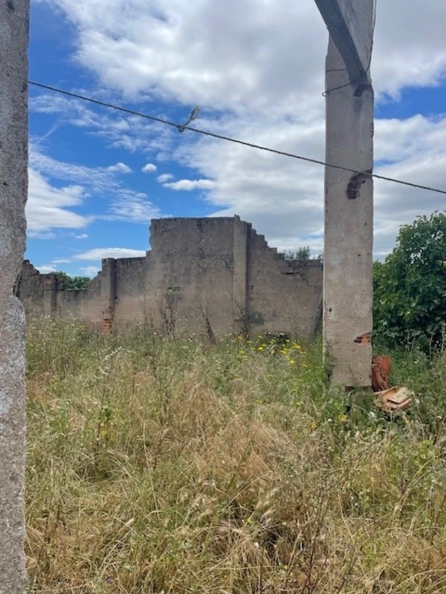 Negócio para Venda em Ponte de Sor, Tramaga e Vale de Açor Foto 12