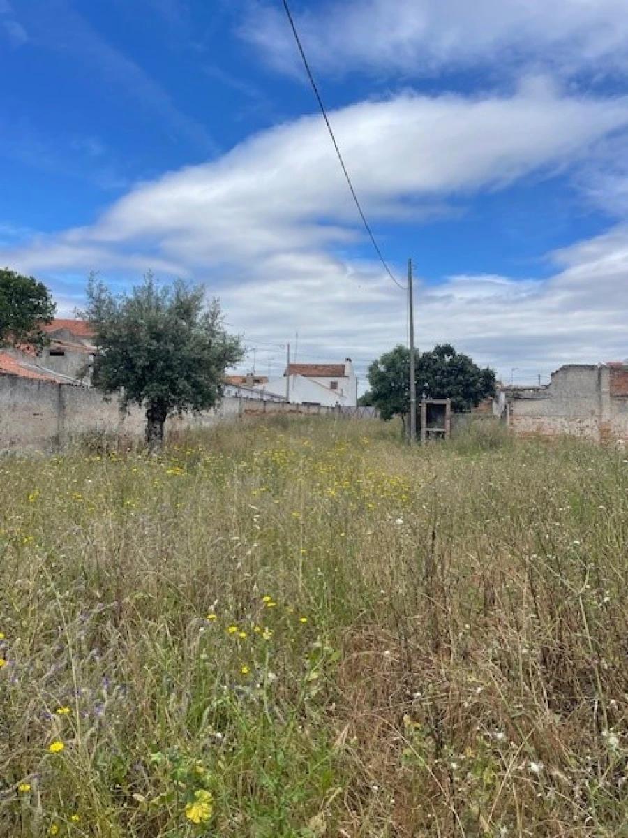 Negócio para Venda em Ponte de Sor, Tramaga e Vale de Açor Foto 15