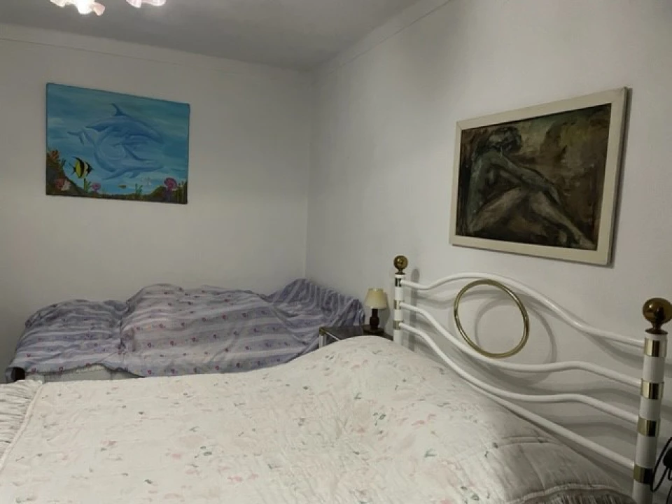 Quinta para Venda em Benavila e Valongo Foto 28