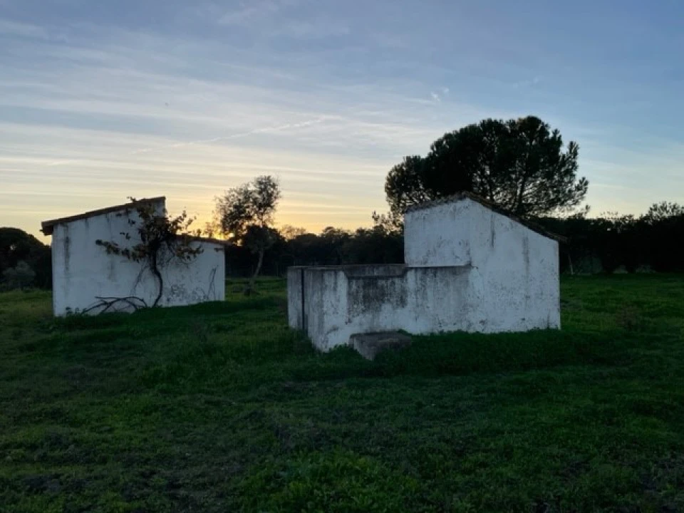 Quinta para Venda em Benavila e Valongo Foto 39