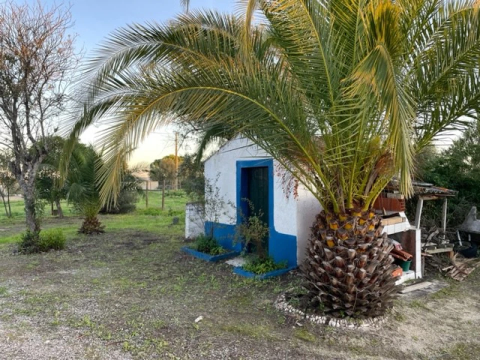 Quinta para Venda em Benavila e Valongo Foto 41