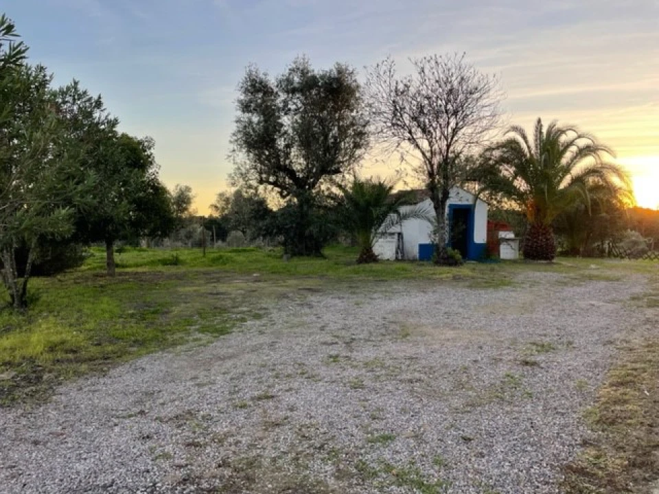 Quinta para Venda em Benavila e Valongo Foto 46