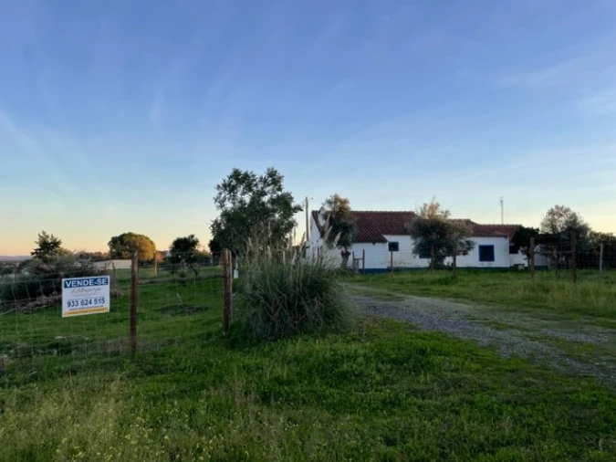 Quinta para Venda em Benavila e Valongo Foto 5