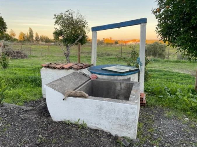 Quinta para Venda em Benavila e Valongo Foto 42