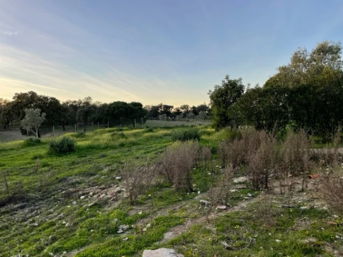 Quinta para Venda em Benavila e Valongo Foto 43