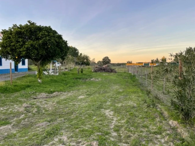 Quinta para Venda em Benavila e Valongo Foto 45