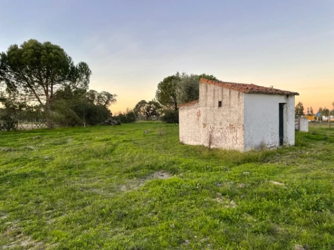Quinta para Venda em Benavila e Valongo Foto 47