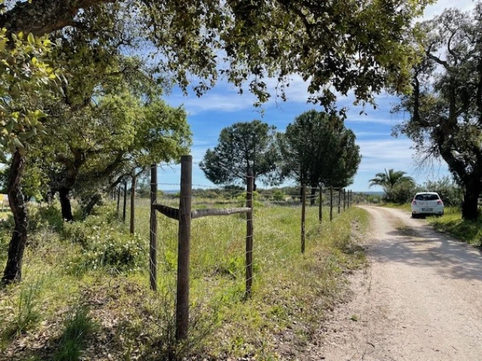 Quinta para Venda em Benavila e Valongo Foto 48