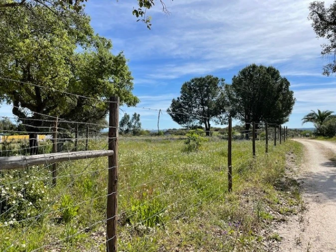 Quinta para Venda em Benavila e Valongo Foto 50