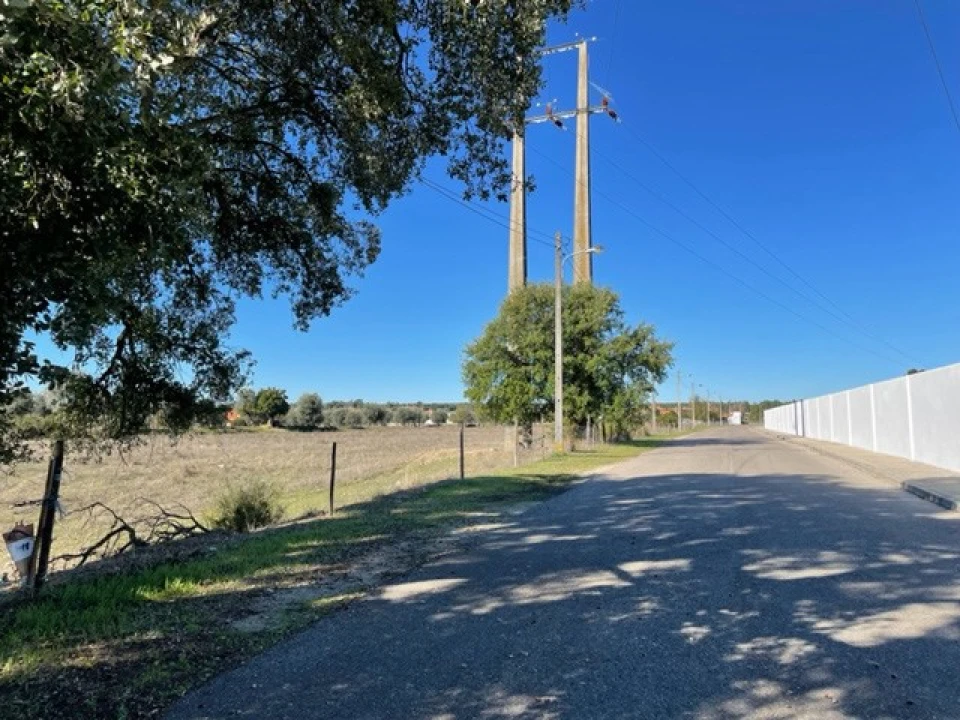 Negócio para Venda em Ponte de Sor, Tramaga e Vale de Açor Foto 7