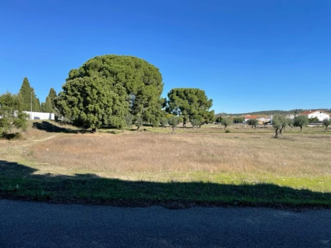 Negócio para Venda em Ponte de Sor, Tramaga e Vale de Açor Foto 2