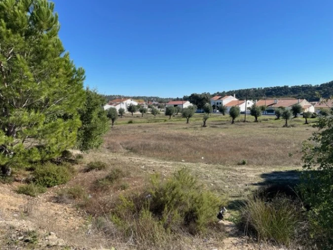 Negócio para Venda em Ponte de Sor, Tramaga e Vale de Açor Foto 4