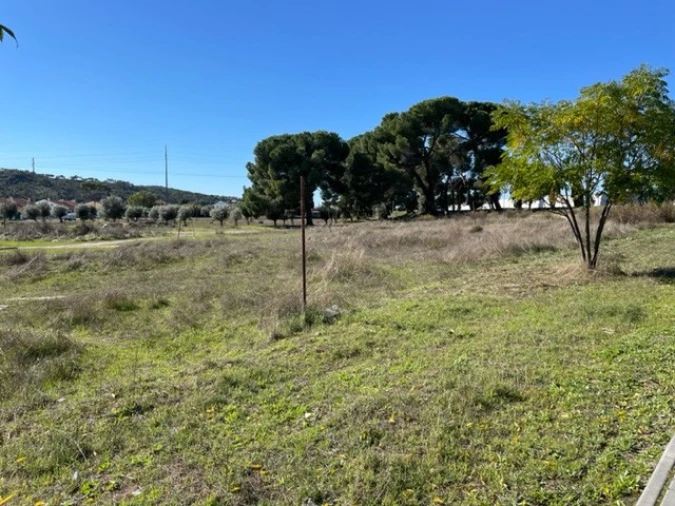 Negócio para Venda em Ponte de Sor, Tramaga e Vale de Açor Foto 10