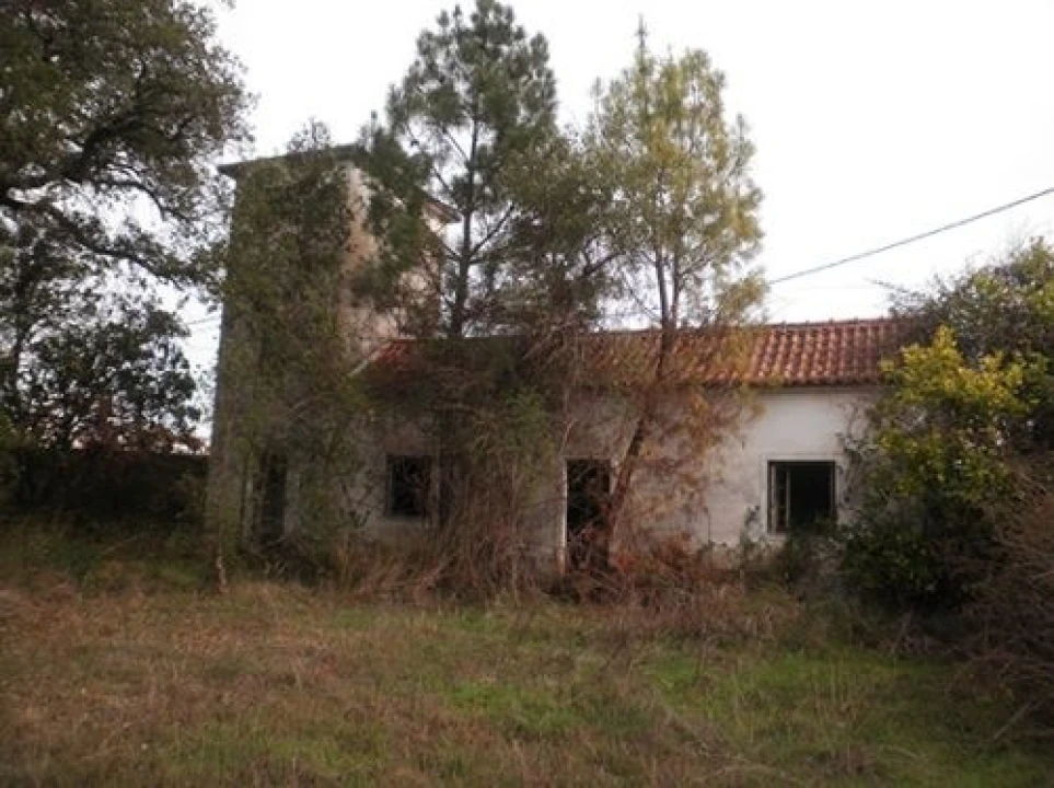 Terreno para Venda em Ponte de Sor, Tramaga e Vale de Açor Foto 3