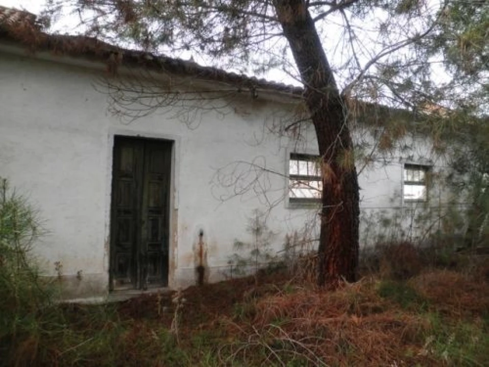 Terreno para Venda em Ponte de Sor, Tramaga e Vale de Açor Foto 4