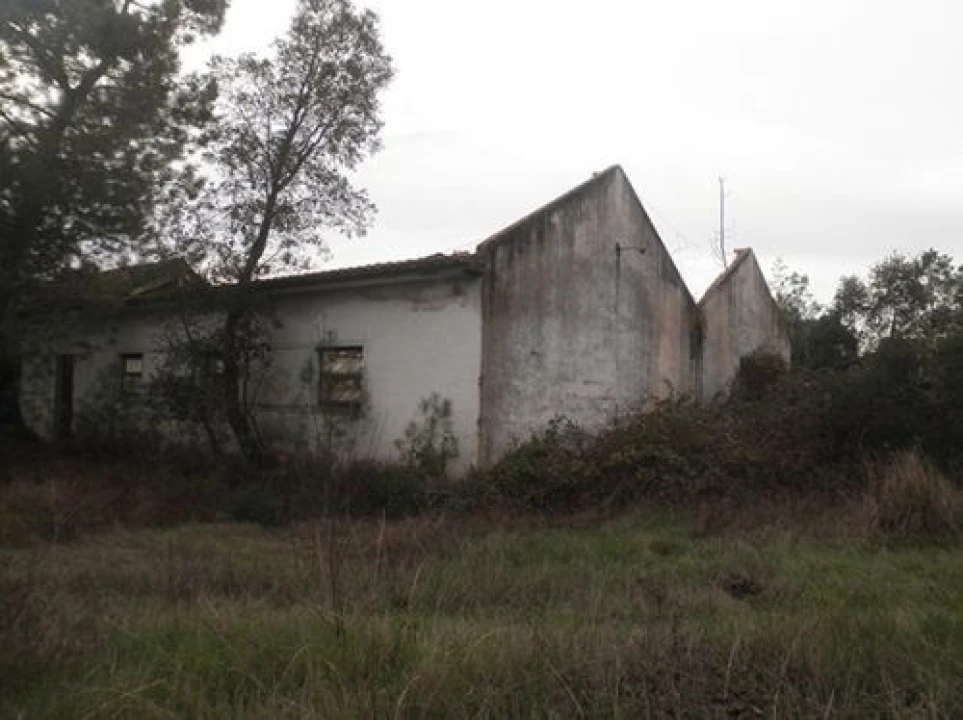 Terreno para Venda em Ponte de Sor, Tramaga e Vale de Açor Foto 5