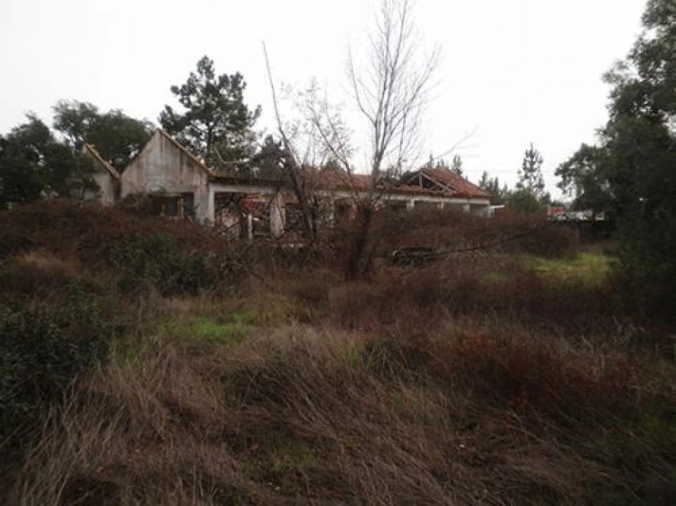 Terreno para Venda em Ponte de Sor, Tramaga e Vale de Açor Foto 6